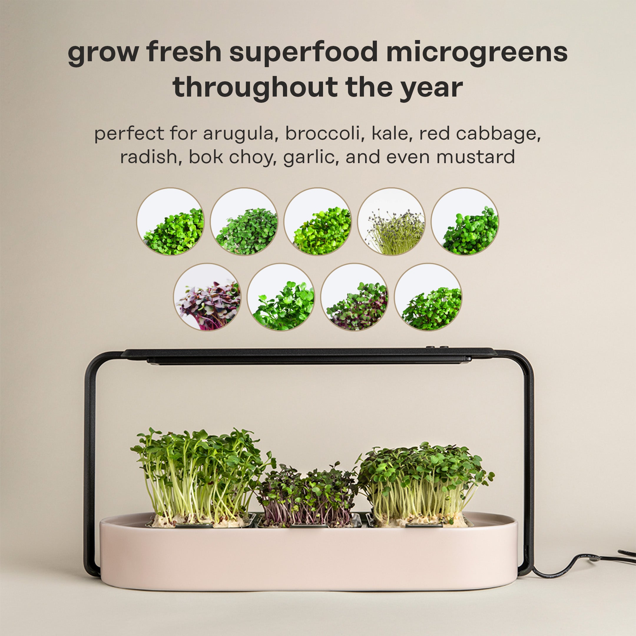 The ingarden bundle showcasing a sleek microgreens growing system with vibrant green sprouts ready for harvest.