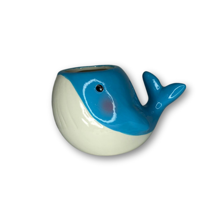 A charming whale-shaped flower pot designed for small plants, featuring a drainage hole.