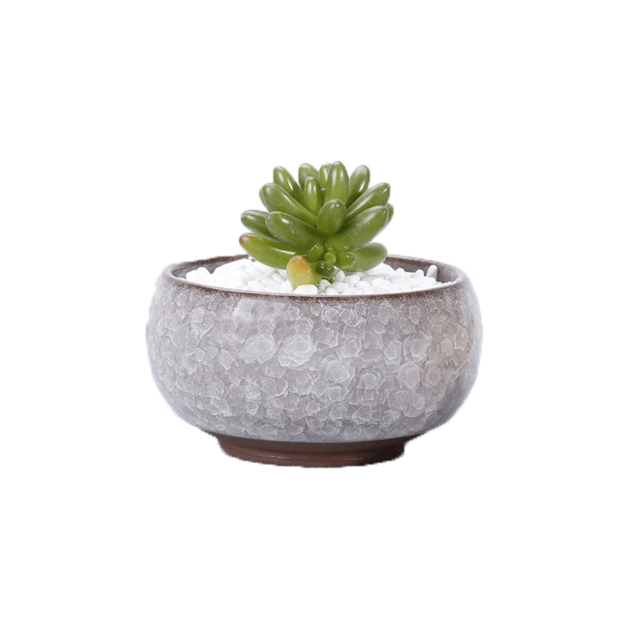 White ceramic succulent planter pot with a cracked glaze pattern, featuring a drainage hole and saucer, ideal for indoor plants.