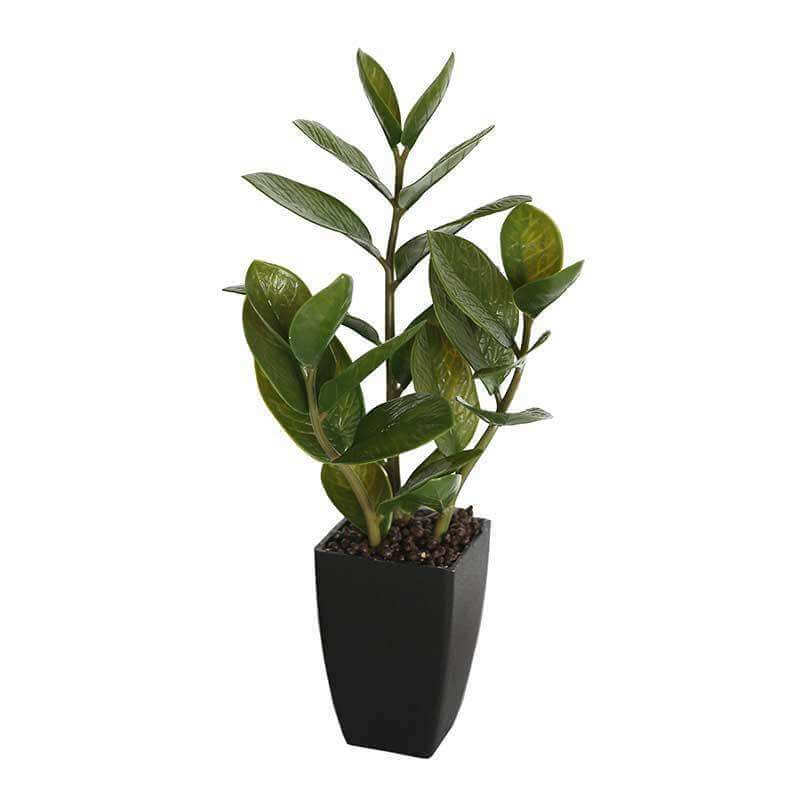 A 46cm Potted Artificial Zanzibar with lush green foliage in a sleek black ceramic pot, perfect for indoor decoration.