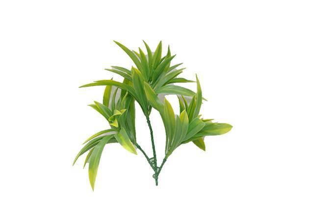 A pack of five 30cm UV-treated Yucca stems with multiple heads, showcasing vibrant green colors, perfect for vertical gardens and decorative arrangements.