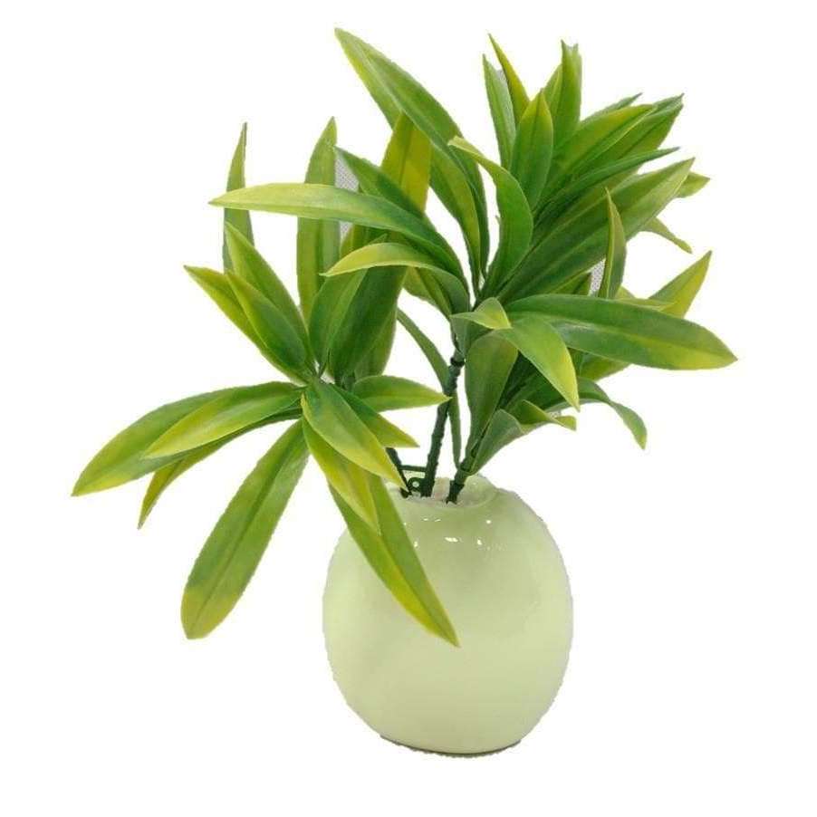 A pack of five 30cm UV-treated Yucca stems with multiple heads, showcasing vibrant green colors, perfect for vertical gardens and decorative arrangements.