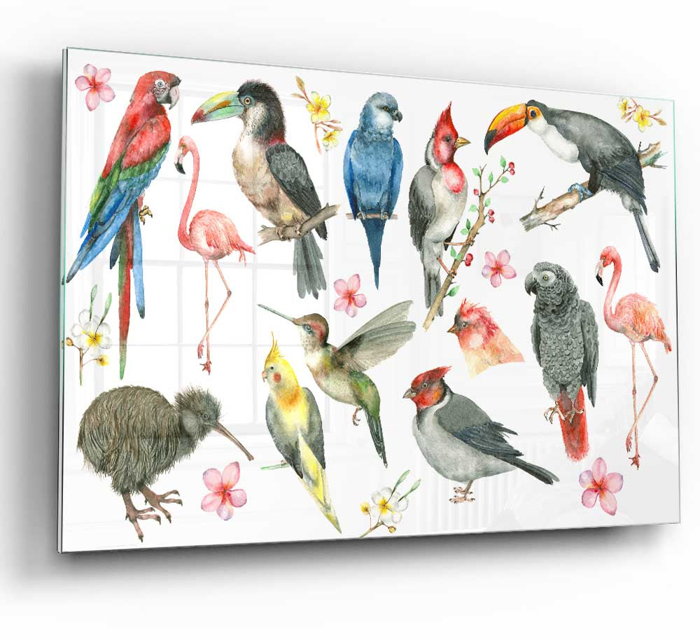 A vibrant glass print featuring a collage of various colorful birds, showcasing intricate details and modern design.