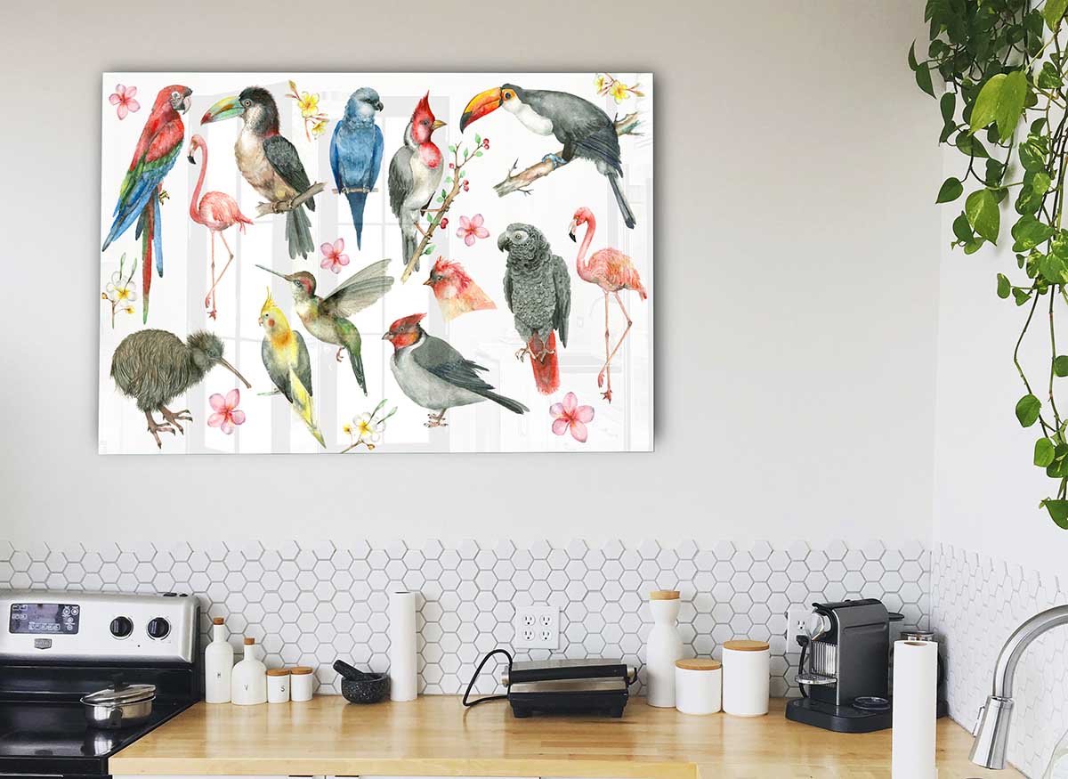 A vibrant glass print featuring a collage of various colorful birds, showcasing intricate details and modern design.