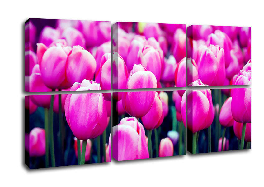 A vibrant canvas print of pink tulips mounted on a sturdy box frame, ready to hang.