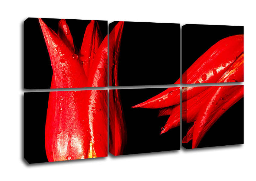 A vibrant canvas art piece featuring a pair of red tulips, mounted on a sturdy box frame, ready to hang.