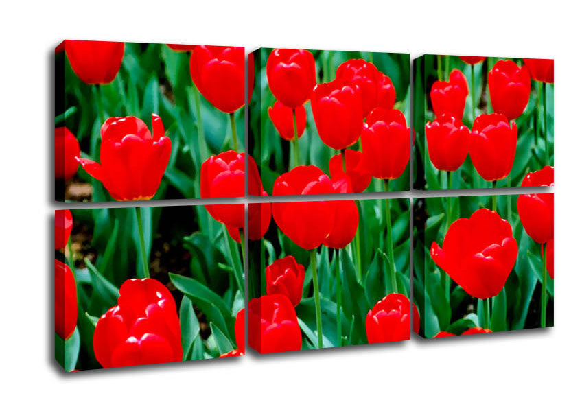 A vibrant canvas print featuring a sea of red tulips, mounted on a sturdy box frame, ready to hang.