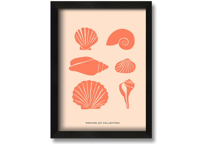 A beautifully framed print of various shells, showcasing intricate details, available in multiple frame colors.