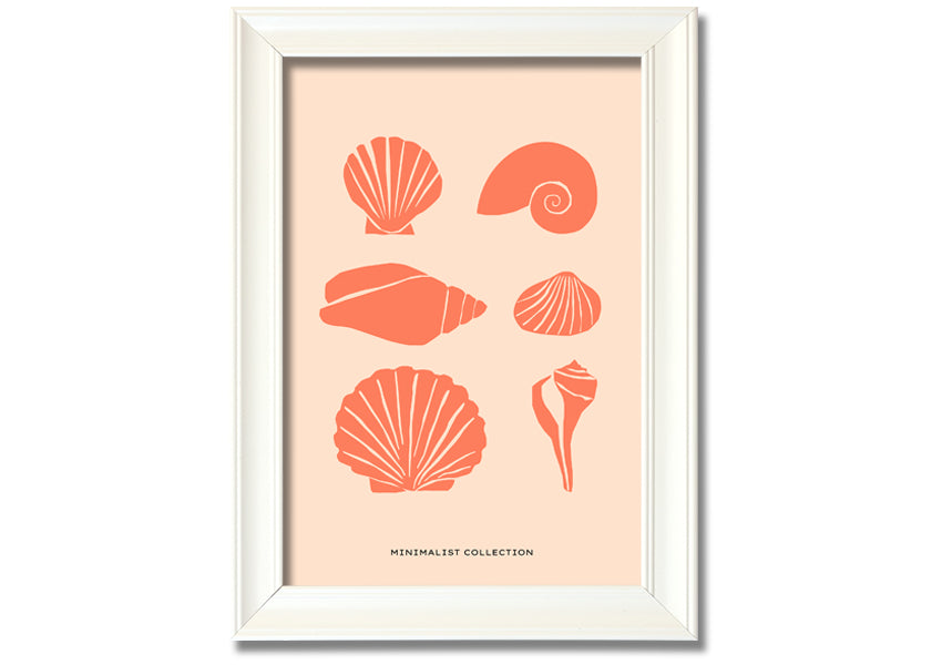 A beautifully framed print of various shells, showcasing intricate details, available in multiple frame colors.