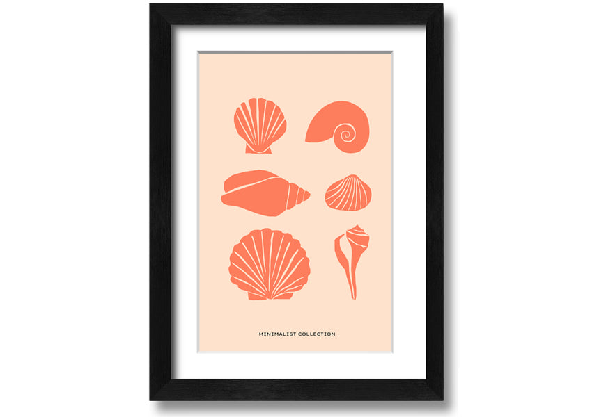 A beautifully framed print of various shells, showcasing intricate details, available in multiple frame colors.