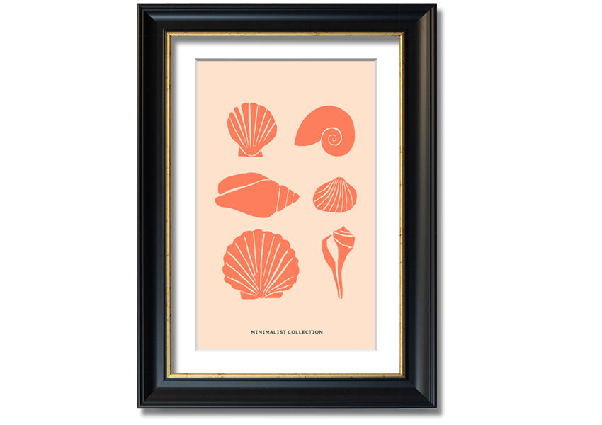 A beautifully framed print of various shells, showcasing intricate details, available in multiple frame colors.