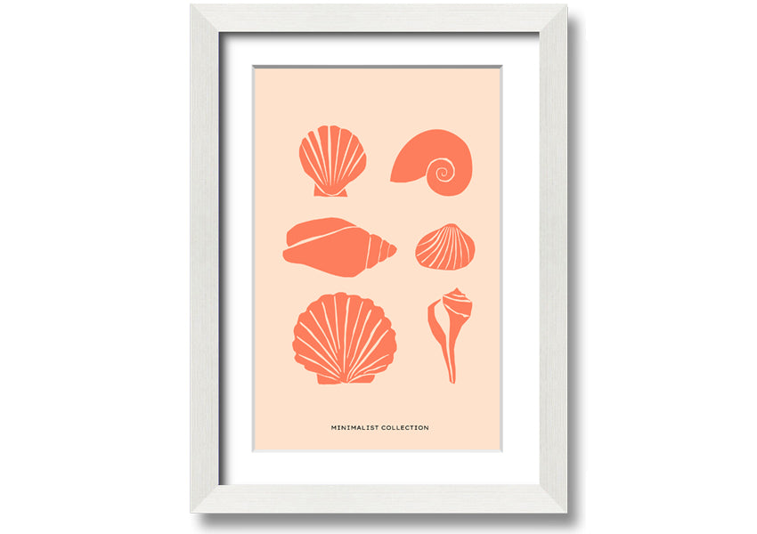 A beautifully framed print of various shells, showcasing intricate details, available in multiple frame colors.