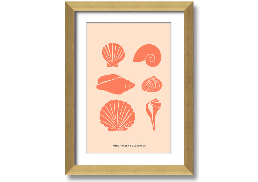 A beautifully framed print of various shells, showcasing intricate details, available in multiple frame colors.