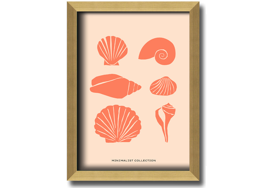 A beautifully framed print of various shells, showcasing intricate details, available in multiple frame colors.