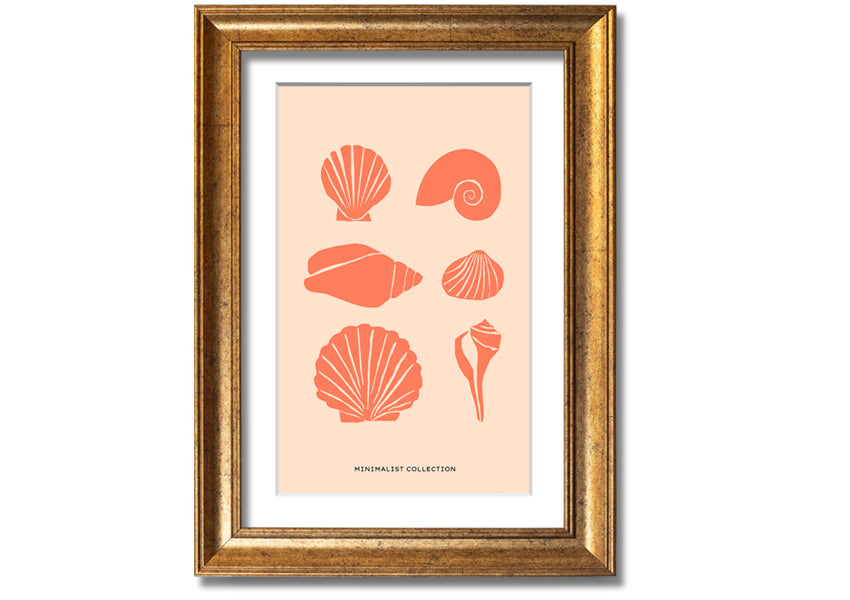 A beautifully framed print of various shells, showcasing intricate details, available in multiple frame colors.