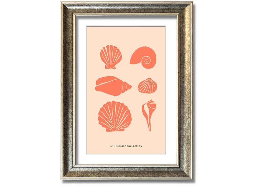 A beautifully framed print of various shells, showcasing intricate details, available in multiple frame colors.