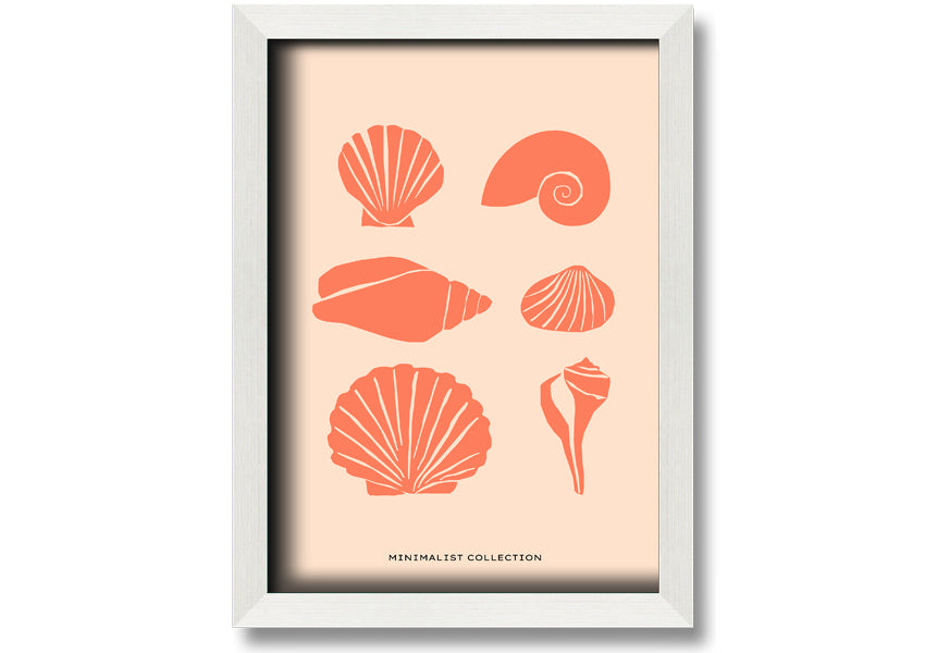 A beautifully framed print of various shells, showcasing intricate details, available in multiple frame colors.