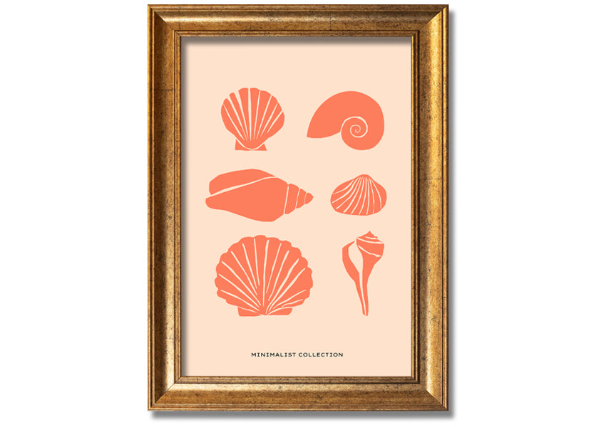 A beautifully framed print of various shells, showcasing intricate details, available in multiple frame colors.