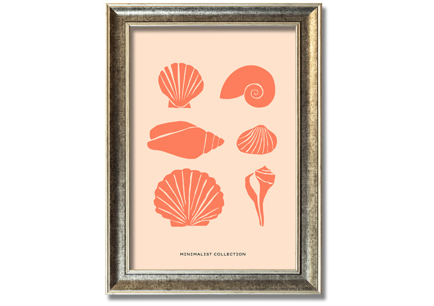 A beautifully framed print of various shells, showcasing intricate details, available in multiple frame colors.