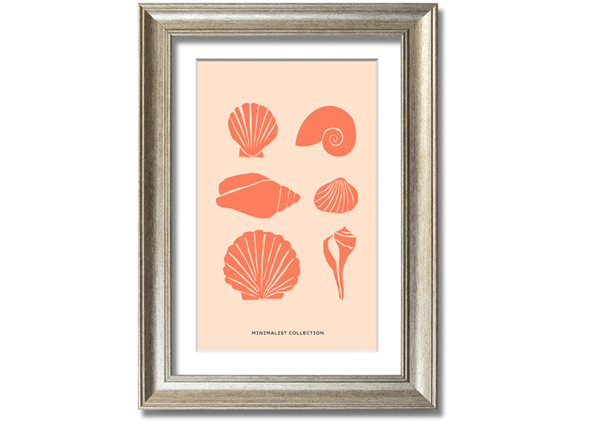 A beautifully framed print of various shells, showcasing intricate details, available in multiple frame colors.