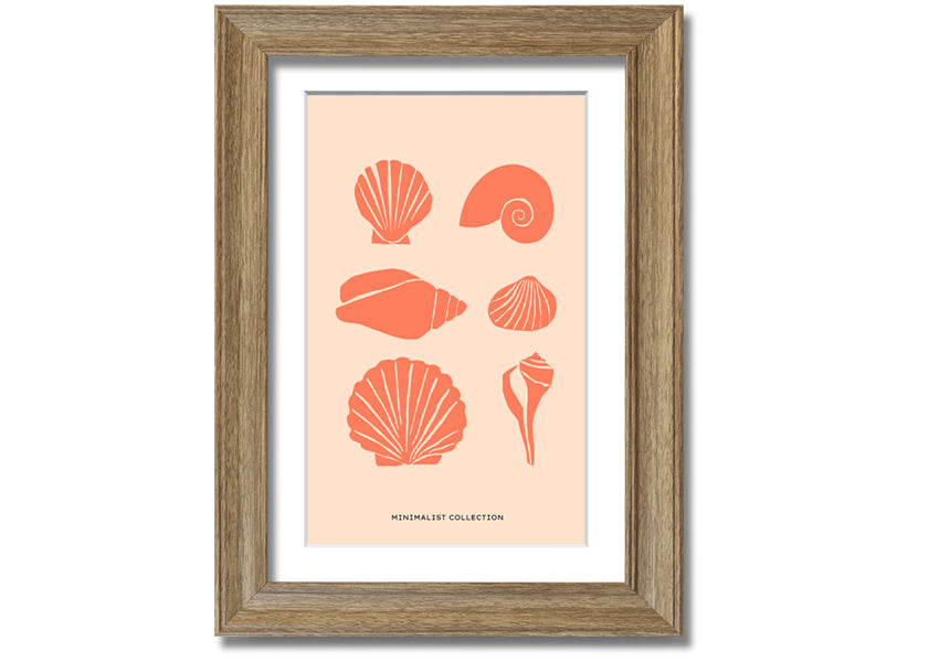 A beautifully framed print of various shells, showcasing intricate details, available in multiple frame colors.