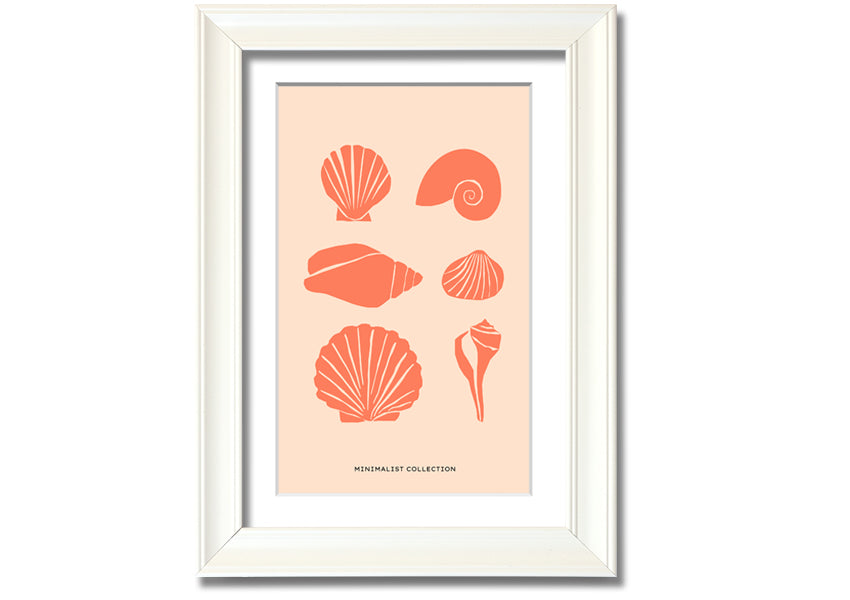 A beautifully framed print of various shells, showcasing intricate details, available in multiple frame colors.