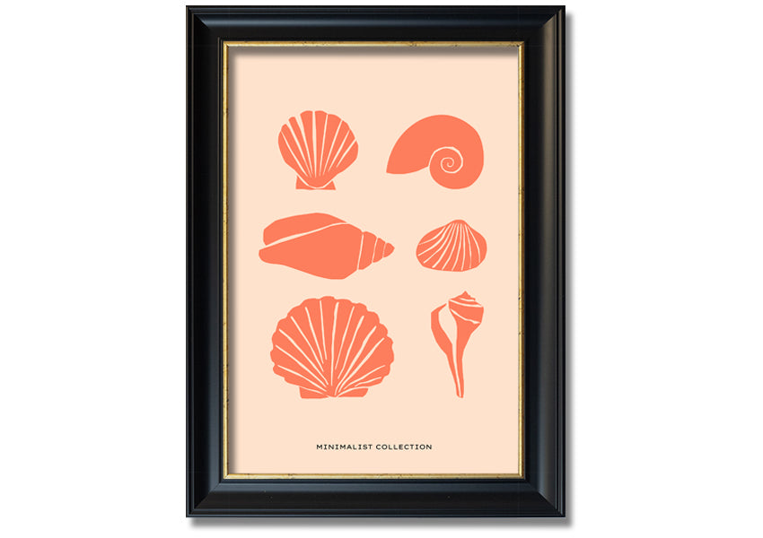 A beautifully framed print of various shells, showcasing intricate details, available in multiple frame colors.