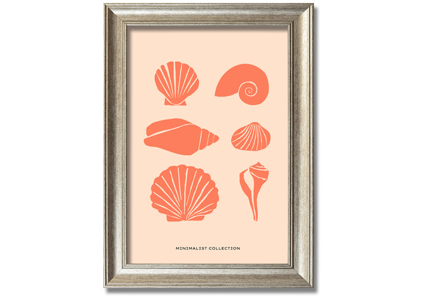 A beautifully framed print of various shells, showcasing intricate details, available in multiple frame colors.