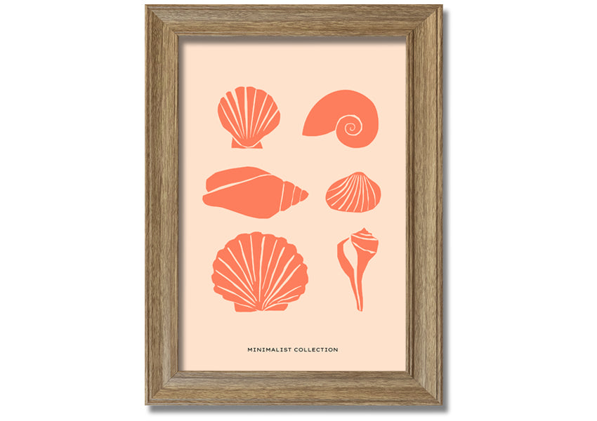 A beautifully framed print of various shells, showcasing intricate details, available in multiple frame colors.