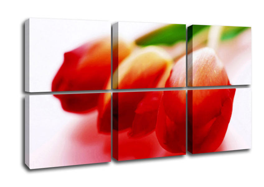 A Trio Of Tulips canvas art featuring vibrant tulip flowers, mounted on a sturdy 44mm box frame, ready to hang.