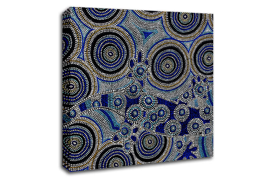 Vibrant Aboriginal Chameleon Trick canvas art mounted on a sturdy frame, showcasing intricate designs and colors.