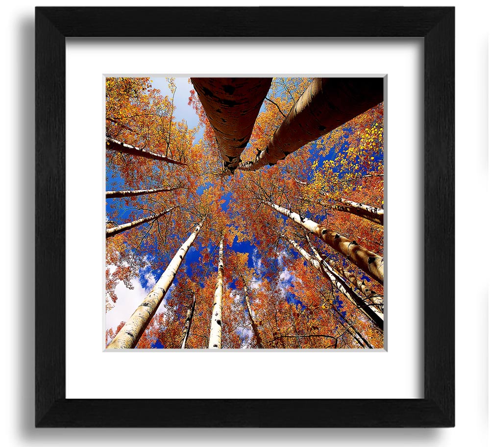 Above The Trees Square Framed Print showcasing serene landscape art in a stylish frame.