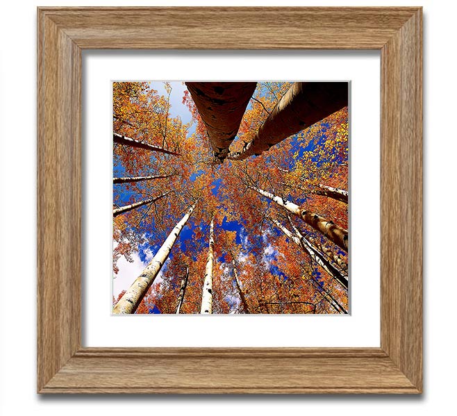 Above The Trees Square Framed Print showcasing serene landscape art in a stylish frame.