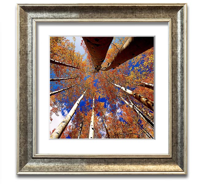 Above The Trees Square Framed Print showcasing serene landscape art in a stylish frame.