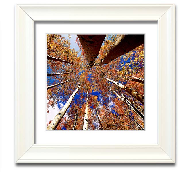 Above The Trees Square Framed Print showcasing serene landscape art in a stylish frame.