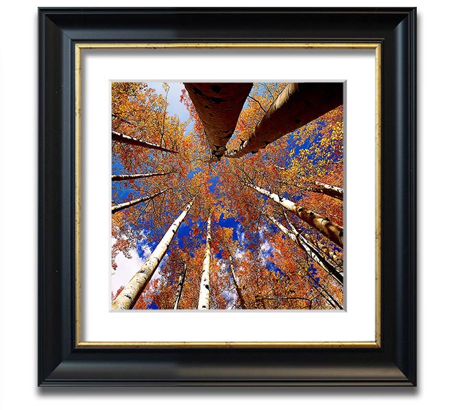 Above The Trees Square Framed Print showcasing serene landscape art in a stylish frame.