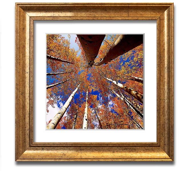 Above The Trees Square Framed Print showcasing serene landscape art in a stylish frame.