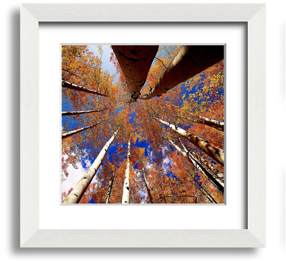 Above The Trees Square Framed Print showcasing serene landscape art in a stylish frame.