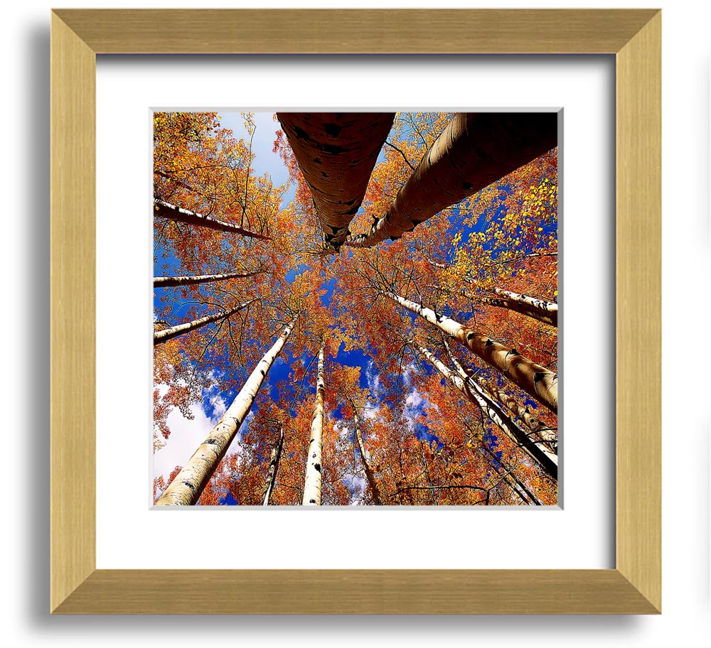 Above The Trees Square Framed Print showcasing serene landscape art in a stylish frame.