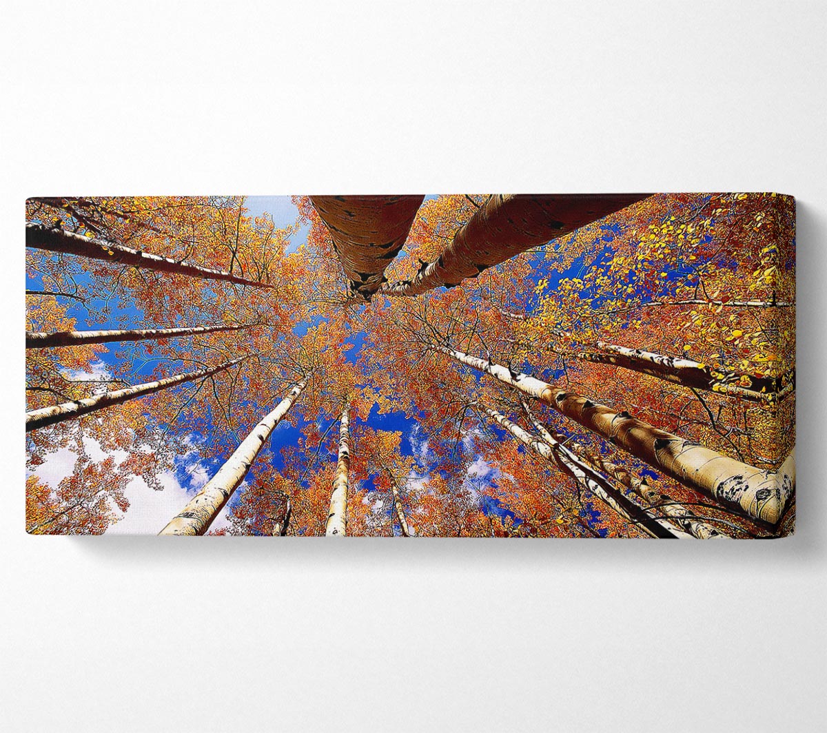 Above The Trees canvas art mounted on a 44mm box frame, showcasing vibrant nature imagery.