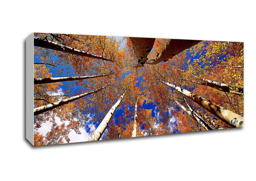 Above The Trees canvas art mounted on a 44mm box frame, showcasing vibrant nature imagery.