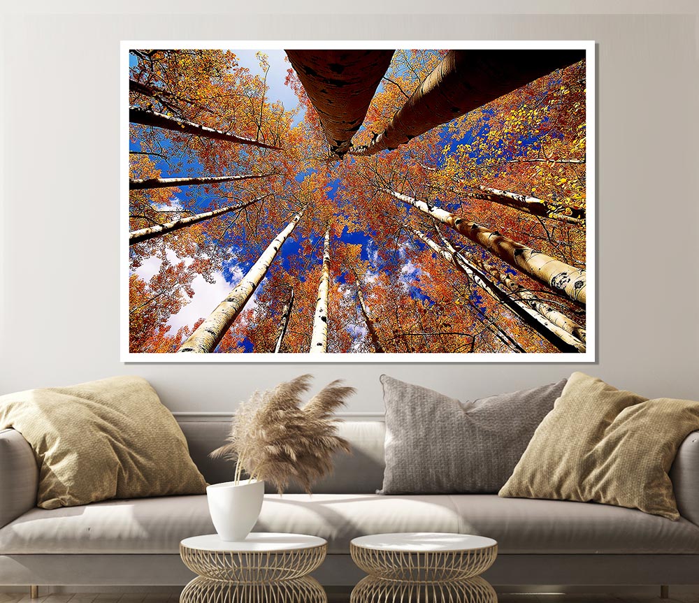 Above The Trees canvas poster featuring a serene nature scene, perfect for home or office decor.