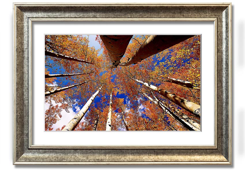 Above The Trees framed print showcasing serene nature scenery, elegantly framed in a choice of colours.