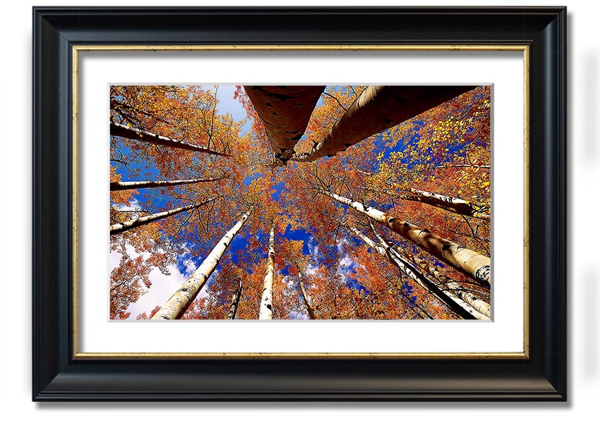 Above The Trees framed print showcasing serene nature scenery, elegantly framed in a choice of colours.