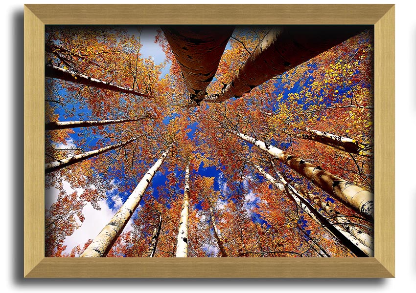 Above The Trees framed print showcasing serene nature scenery, elegantly framed in a choice of colours.