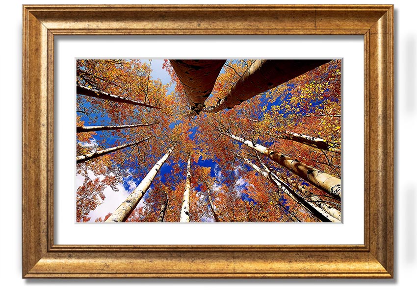 Above The Trees framed print showcasing serene nature scenery, elegantly framed in a choice of colours.