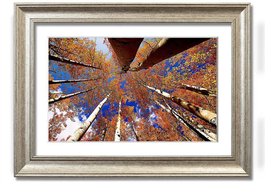 Above The Trees framed print showcasing serene nature scenery, elegantly framed in a choice of colours.