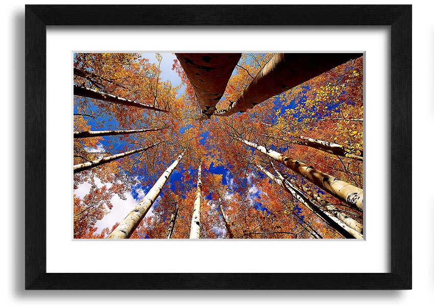 Above The Trees framed print showcasing serene nature scenery, elegantly framed in a choice of colours.