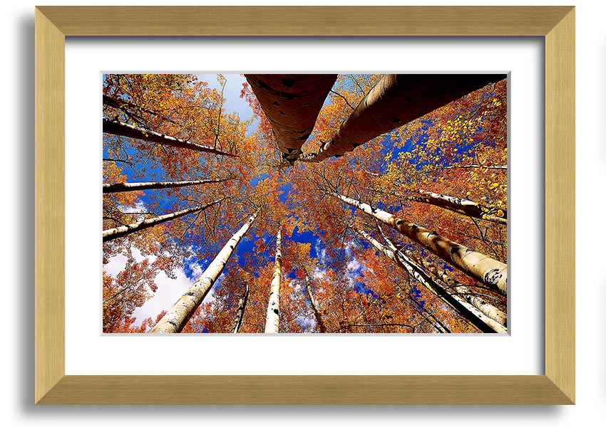 Above The Trees framed print showcasing serene nature scenery, elegantly framed in a choice of colours.