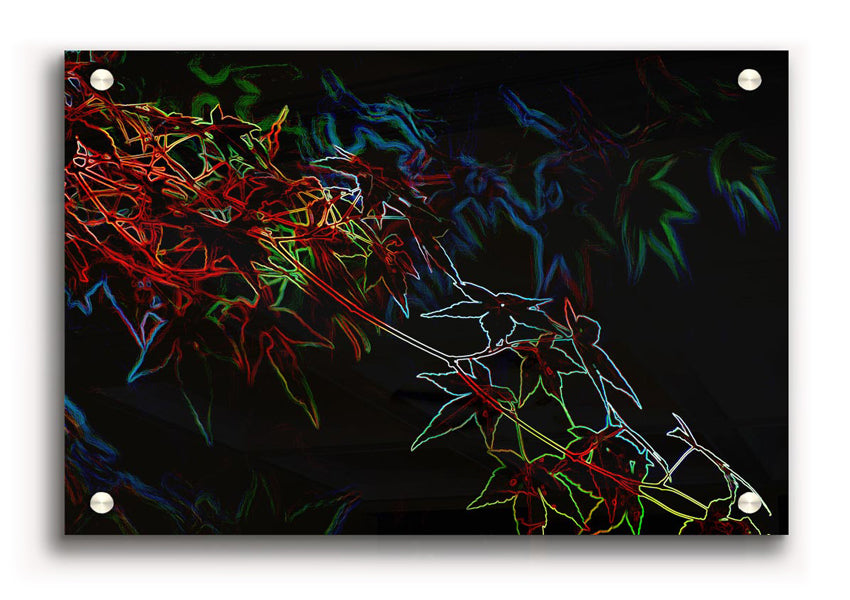 Vibrant Abstarct Neon Floral 08 acrylic print showcasing colorful floral design on 5mm thick acrylic glass.